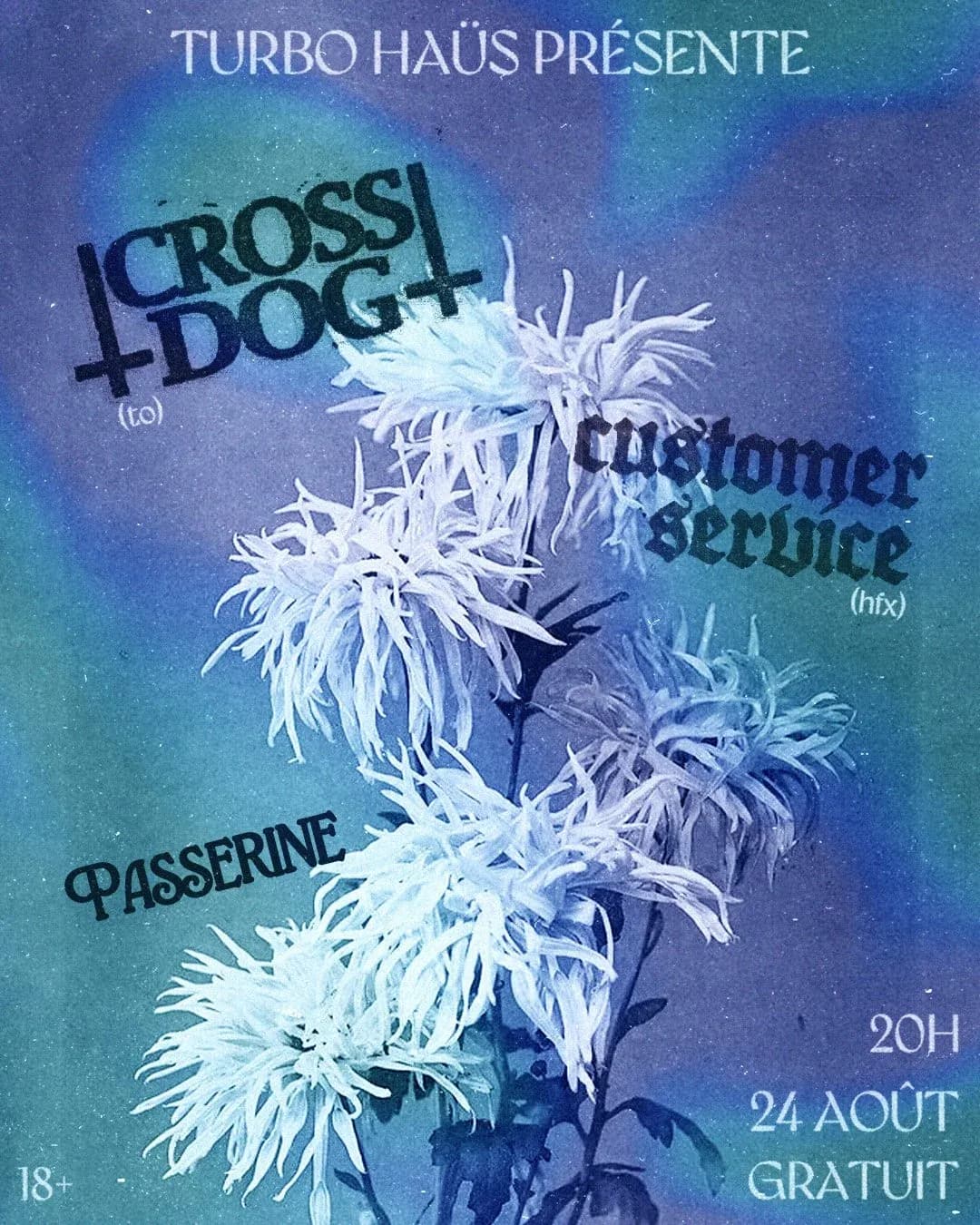 Cross Dog + Customer Service + Passerine