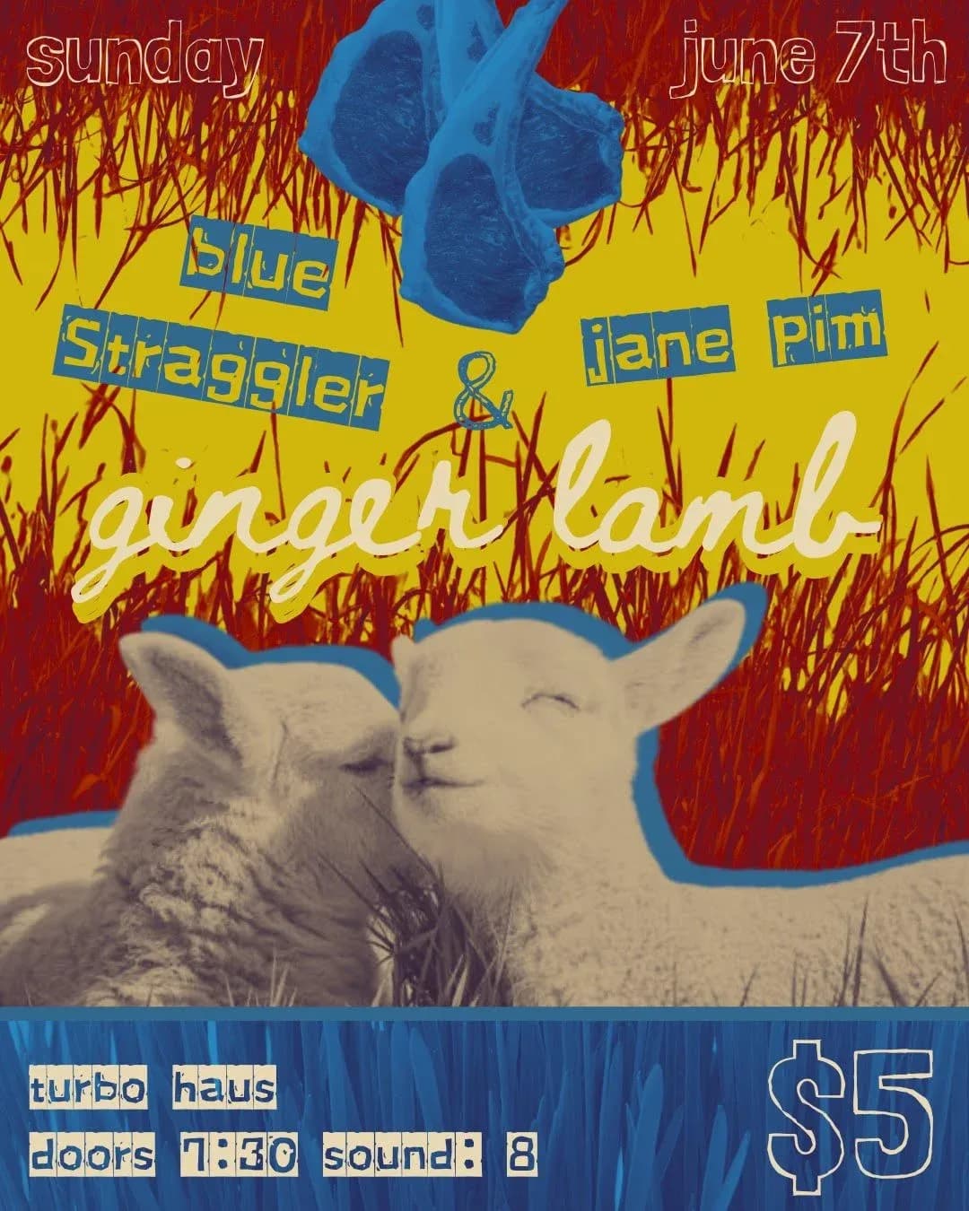 Ginger Lamb + Blue Straggler + Jane Pim