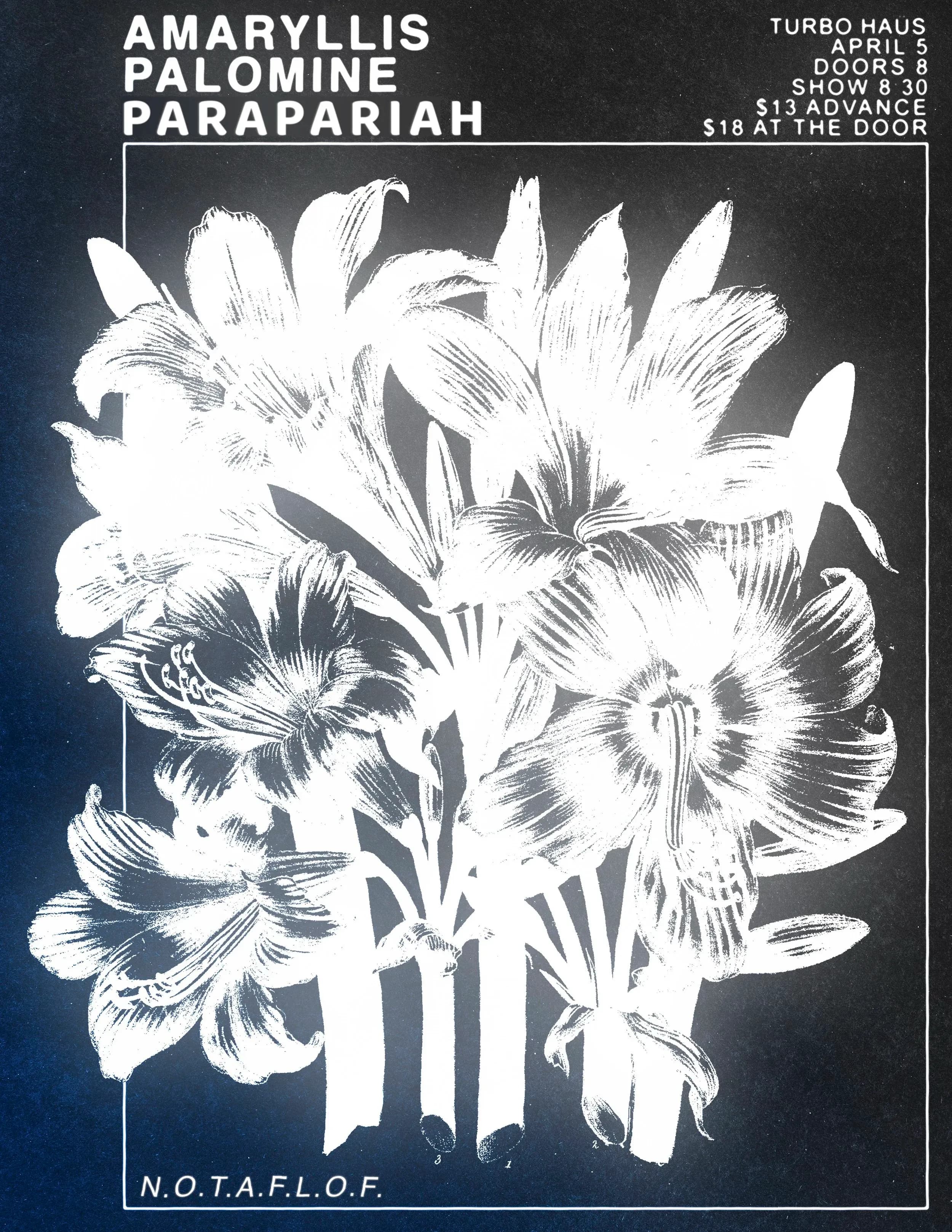 Amaryllis + Palomine + Parapariah