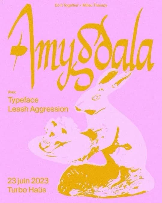 AMYGDALA + TYPEFACE + LEASH AGGRESSION
