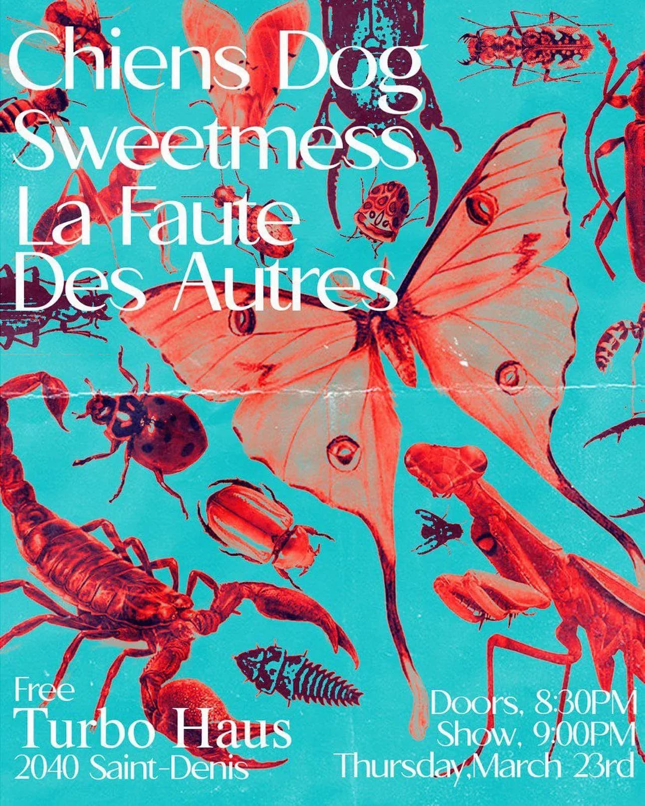 !!!GRATUIT / FREE!!! CHIENS DOG + Sweetmess + La Faute Des Autres