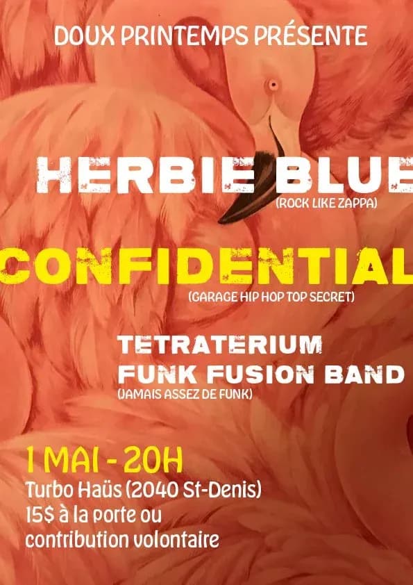 Herbie Blue + Confidential + Tetraterium Funk Fusion Band