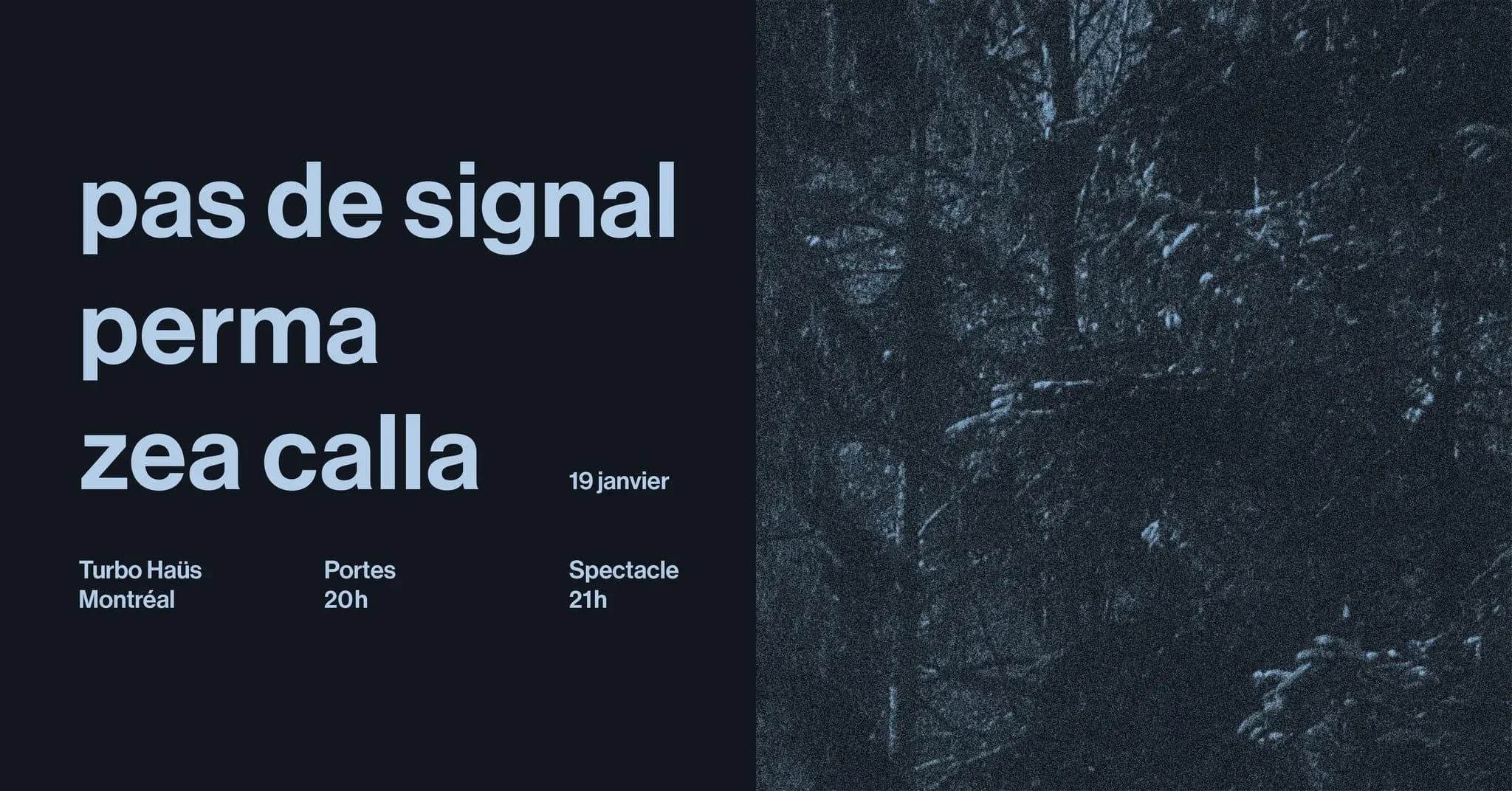 Pas de Signal + Perma + Zéa Calla